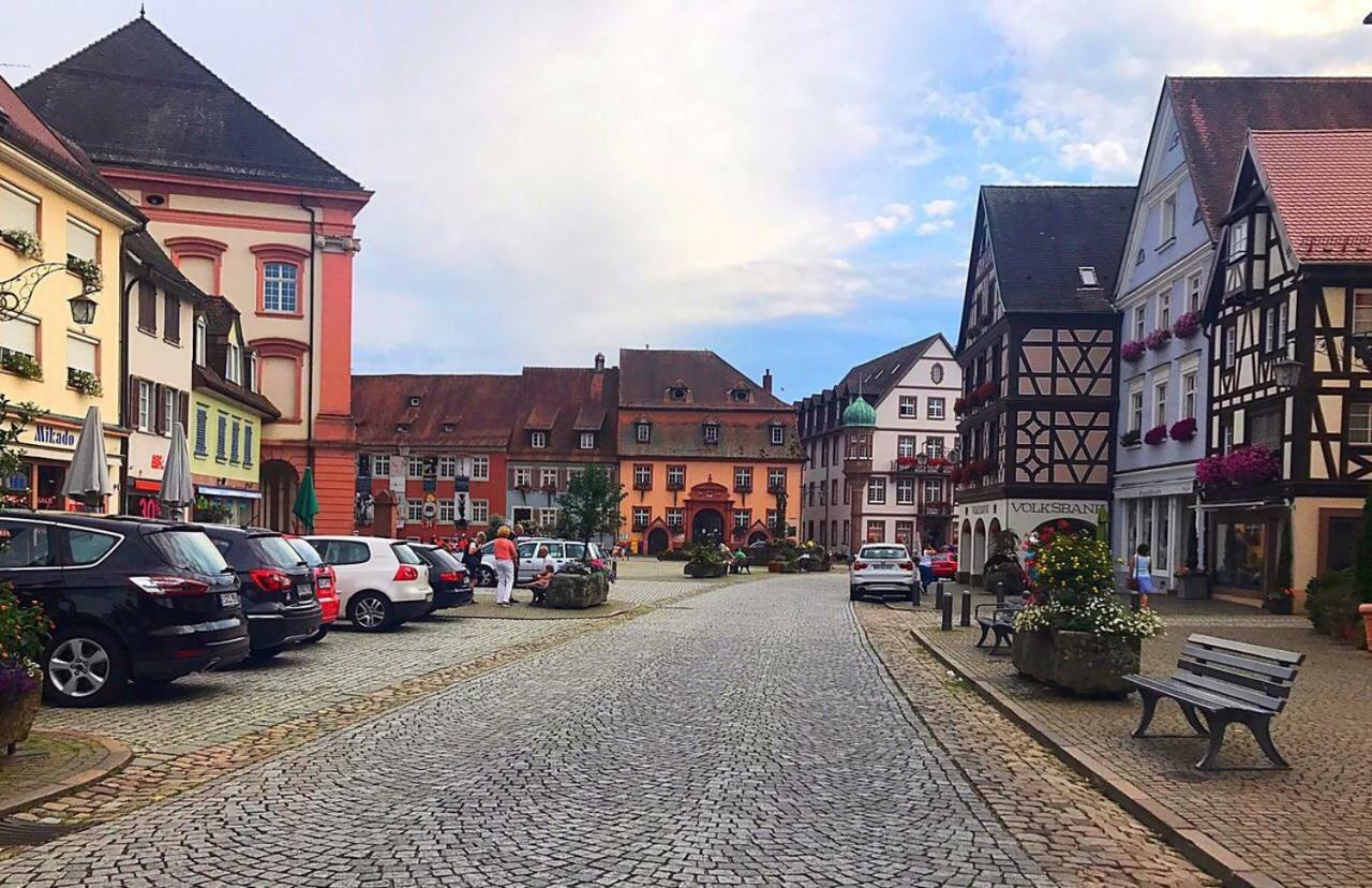 Blackforest Home Gengenbach Nahe Europapark Rust Εξωτερικό φωτογραφία